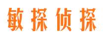 盐都市私家侦探